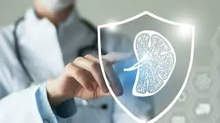 Who We Are  Biotech & Pharma Consulting   English 2024 11 26