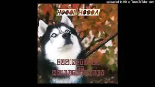 Euginethedj _hooa hoolo ft haukithehusky #dog