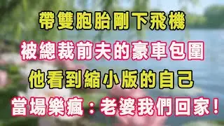 帶雙胞胎剛下飛機，被總裁前夫的豪車包圍，他看到縮小版的自己，當場樂瘋：老婆我們回家！#甜寵 #情感故事 #現代言情 #小説