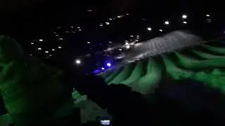 Northern Lights Tubing B 2019