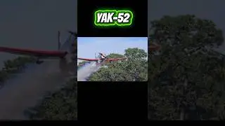 A Spectacular Yak-52 Flying Display #airplane #warbird #aviation #fly