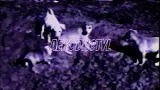 VOYXGE - Aerodactyl | Reincarnation | Official Visualizer