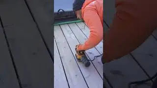 DeWalt Corded Palm Grip Sander | AHS team
