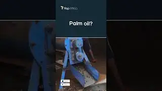 💸 Oil palm plantation vs Shares?