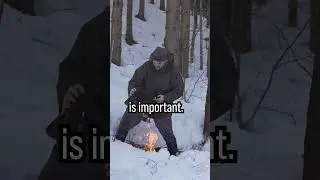 Rotten Wood will save your Life! Fatwood Survival Hack #survival