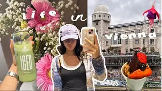 Homebody in Vienna | work,gym, pr package, skin care & more