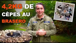 Chasse aux cèpes & cuisine au brasero-plancha BRAZIR 🍄🔥