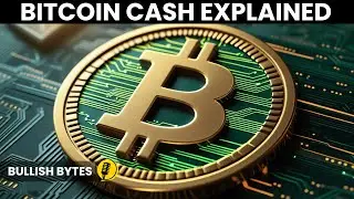 What Is Bitcoin Cash? Unlock BCH Secrets For Beginners! | Podcast