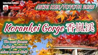 KORANKEI GORGE AUTUMN 2025-EL VALLE MÁS FAMOSO POR LOS COLORES OTOÑALES ALREDEDOR DE NAGOYA 🍁☘️🍂