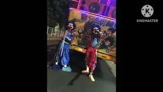 Vai no bole bole 1.0 