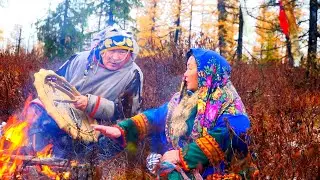 Nenets treatment. Traditional medicine of the North
