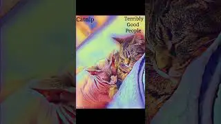 Catnip, Terribly Good People