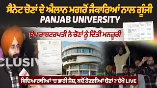 Breking News : Punjab University Senate Elections Approved | Students Celebrate | LIVE Coverage