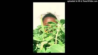 AMAKUMVA _JAY NEO 40 FT JA-CEENTA NsA