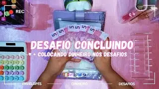 PARTE 35 | DESAFIO CONCLU&Iacute;DO + COLOCANDO DINHEIRO + BUDGET BINDER + CASH STUFFING + FICHARIO ROXO