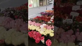 #бонн#путешествия#Германия#заметки#турист#рынок
