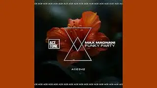 Max Magnani - Funky Party (Original Mix)
