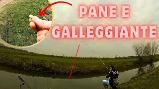 PESCO A GALLEGGIANTE NELLE BUCHE