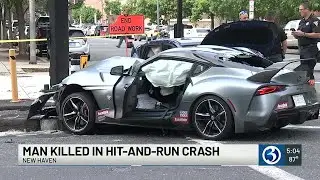 Man killed in hit-and-run in New Haven
