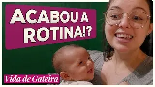 Vida de Mãe Gateira | VIDA DE GATEIRA #26