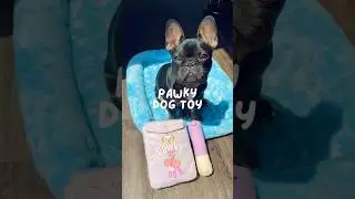 Look at this cute dog toy! 🍓 #frenchbulldog #frenchie #shorts #dog #dogtoy #cute #pets #puppy