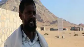 جزيرة عبدالكوري السقطرية، تشكر الإمارات