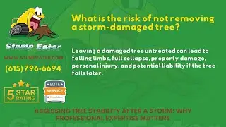What is the risk of not removing a storm-damaged tree?