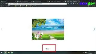 Swiper pagination |dandev