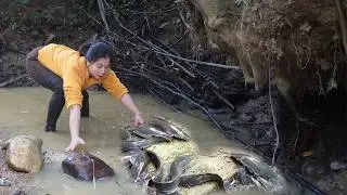 Harvesting fish in a wild lake - Harvest millions of oranges to sell