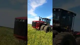Бюллер #фермер #кфх #трактор #фермердома #farming #buhler #обработка