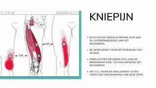 Zelfmassage Vastus Medialis
