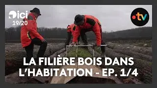 Fili&egrave;re bois dans l'habitation - Ep. 1/4 : la for&ecirc;t