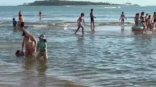 Punta del Este, Playa Mansa, Parada 20, banco de arena, 26.01.2026