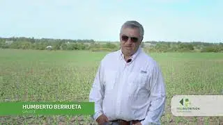 Clientes que conf&iacute;an en PRONUTRITION