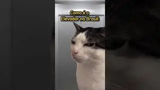 COMO OS GRINGOS ACHA QUE &Eacute; O ELEVADOR NO BRASIL