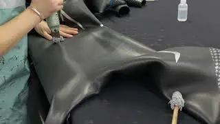 GBS on Wetsuits