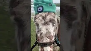 Mia&lsquo;s Welt - Schlitten fahren mit Antje