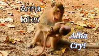 Mum Anna bites skinny Alba with anger!