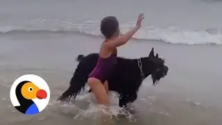 Dog Protects Girl From The Ocean | The Dodo