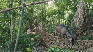 Survival Skills | Making Traps to Catch Wild Goats, Turkeys and Wild Boars
