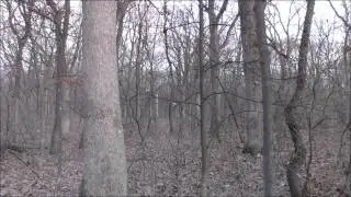 UW-Madison Arboretum