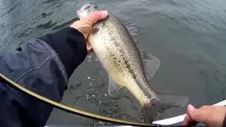 Northern Iowa Cold Front Bass Fishing