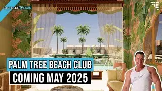 🎉 Wet Republic Becomes Palm Tree Beach Club! Here&rsquo;s What&rsquo;s Changing. #VegasPoolParty
