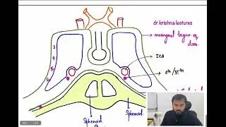 Содержимое пещеристого синуса | Высокоэффективный | Доктор Кришна Сахит