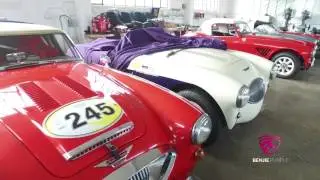 Austin Healey Collection In Zurich, Switzerland