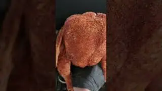 Beer Butt Chicken Alternative #shorts