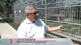 Информационный канал Город 30.06.15 (16+)