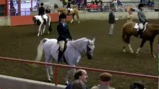 Wisconsin State Horse Expo Grade 9
