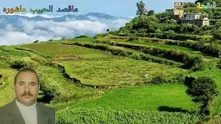 ماقصد الحبيب ماشوره     شريجه يحيى الشريجه
