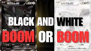 New Black and White Set! The Biggest Set in Pokemon History?!